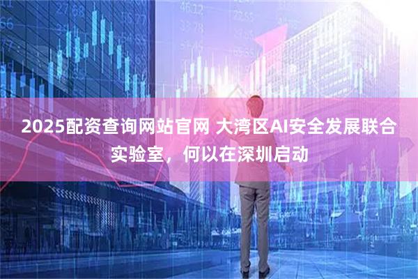 2025配资查询网站官网 大湾区AI安全发展联合实验室，何以在深圳启动