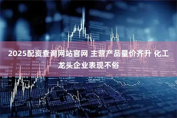 2025配资查询网站官网 主营产品量价齐升 化工龙头企业表现不俗